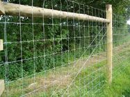 Wood High Tensile Fixed Knot Wire Fencing For Cattle High Strength Galvanized
