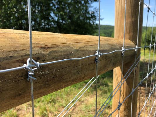 シカの固定結び目の塀1.2mの蝶番接合箇所の牛は金網分野の塀を