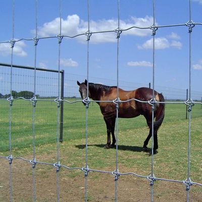 High Strength Galvanized Fixed Knot Cattle Fence Metal Iron